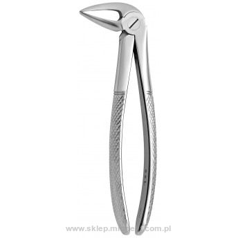 Kleszcze korzenie dolne