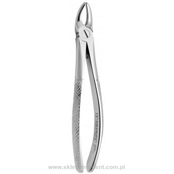 Kleszcze przedtrzonowce górne