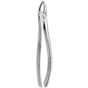 Kleszcze przedtrzonowce górne