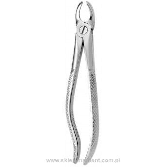 Kleszcze trzonowce górne lewe