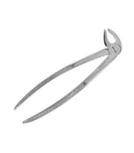 Kleszcze przednie dolne